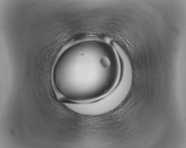 X0000116281345200912141340