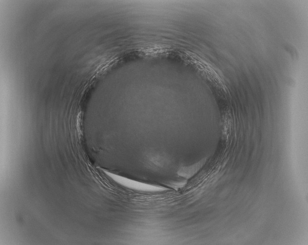 X0000116281346200912141340