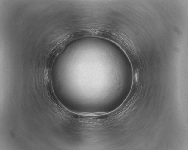 X0000116281347200912141340