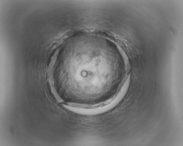 X0000116281349200912141340