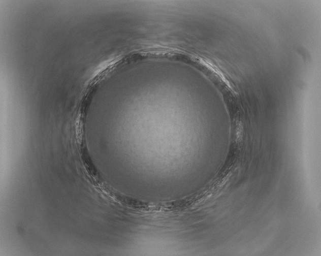 X0000116281350200912141340