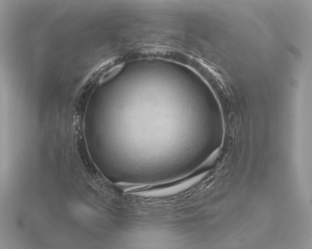 X0000116281351200912141340