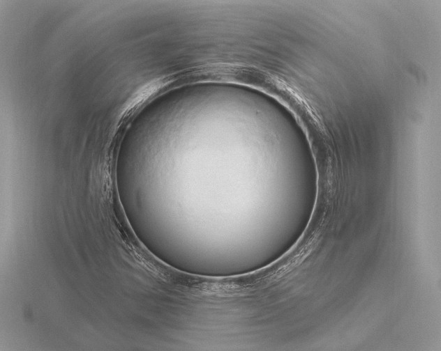 X0000116281354200912141340