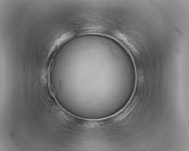 X0000116281357200912141340