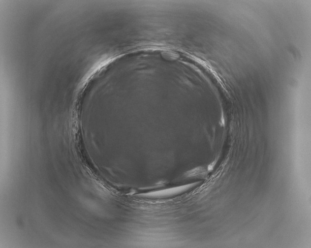 X0000116281359200912141340
