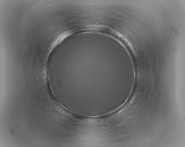 X0000116281362200912141340