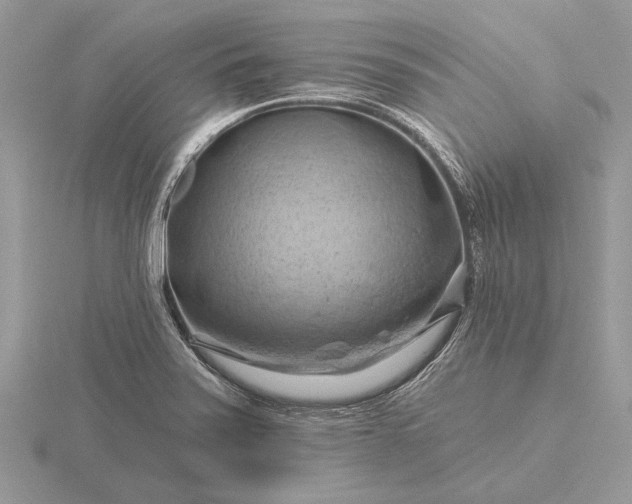 X0000116281371200912141340