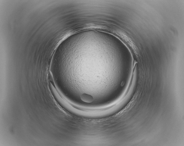 X0000116281377200912141340