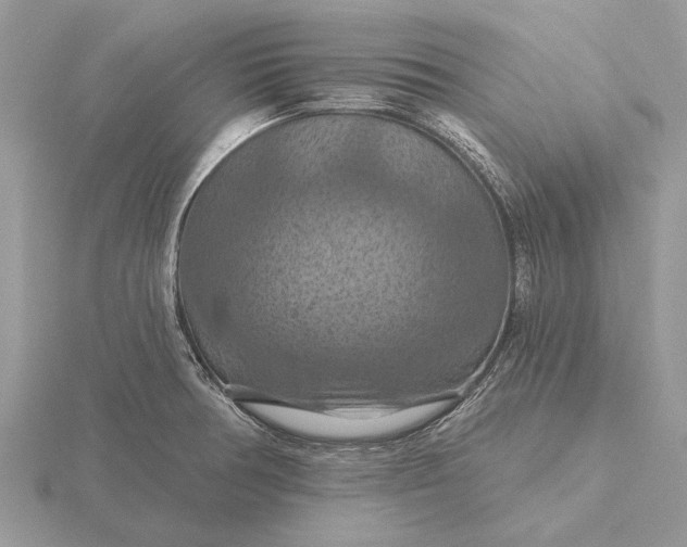 X0000116281378200912141340