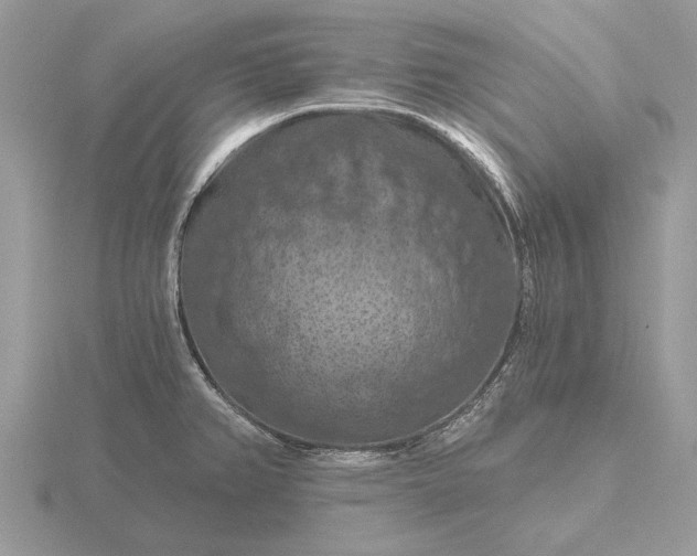 X0000116281382200912141340
