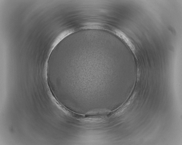 X0000116281386200912141340