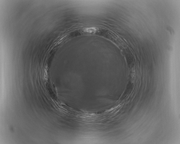 X0000116281394200912141339