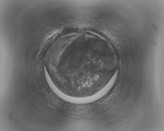 X0000116281398200912141339