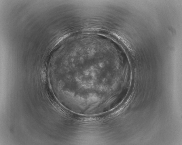 X0000116281401200912141339