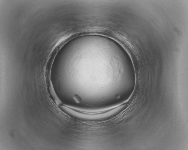 X0000116281404200912141339