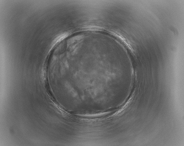 X0000116281405200912141339