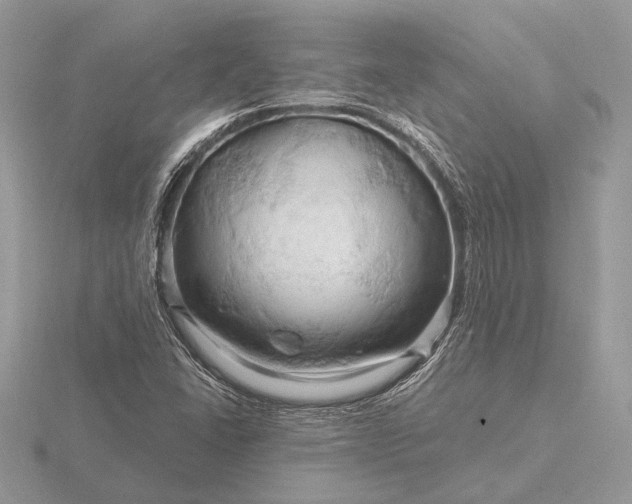 X0000116281406200912141339