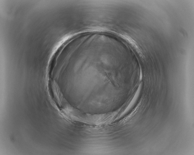 X0000116281414200912141339