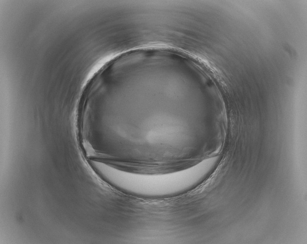 X0000116281422200912141339