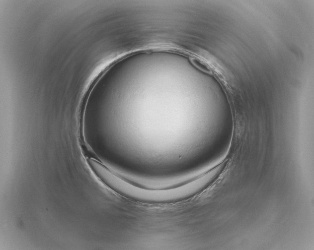 X0000116281430200912141339