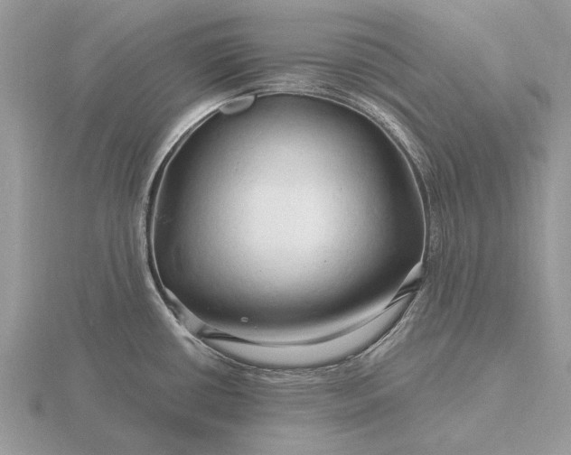 X0000116281434200912141339