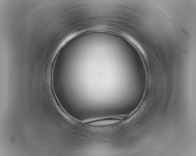 X0000116281437200912141339