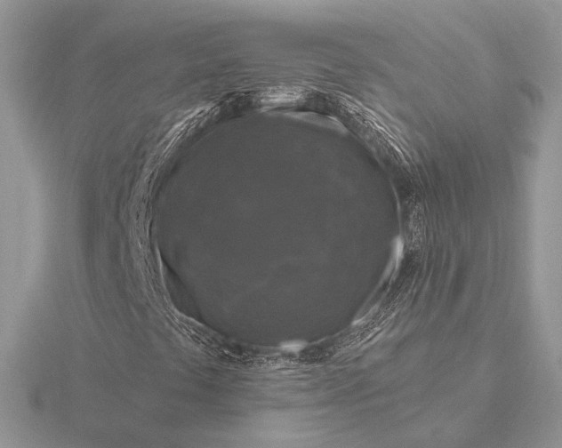 X0000116281441200912141339
