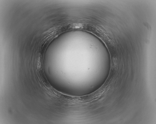 X0000116281442200912141339