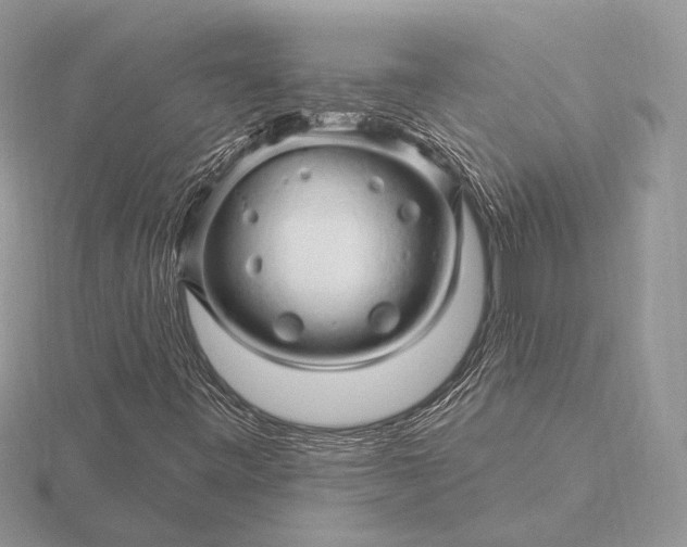 X0000116281443200912141339