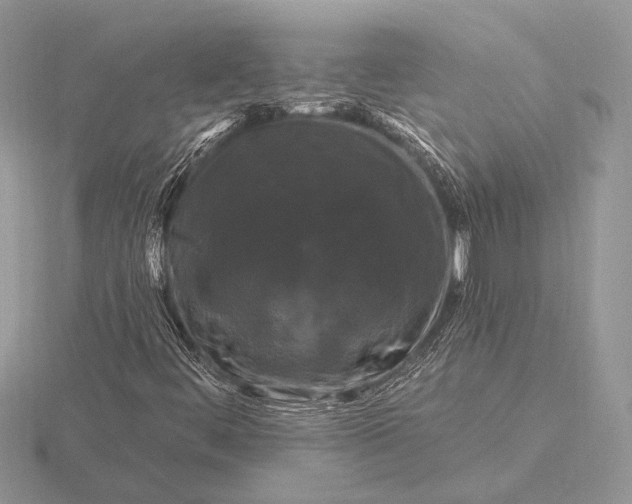 X0000116281444200912141339