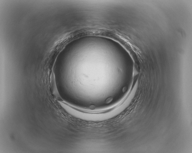 X0000116281447200912141339