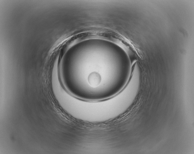 X0000116281448200912141339