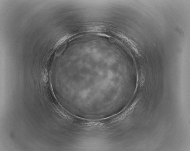 X0000116281449200912141339