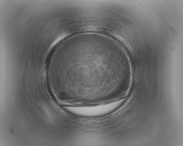 X0000116281450200912141339