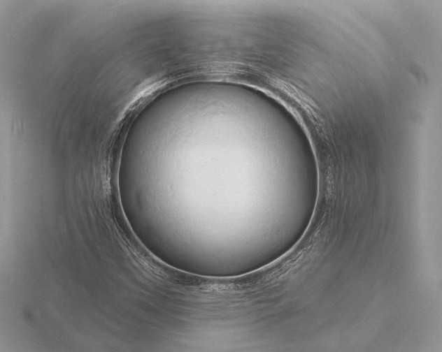 X0000116281451200912141339