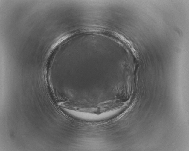 X0000116281453200912141339