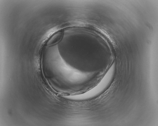 X0000116281455200912141339
