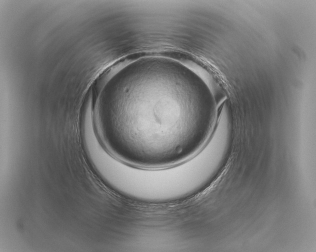 X0000116281457200912141339