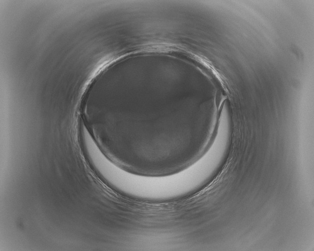 X0000116281459200912141339