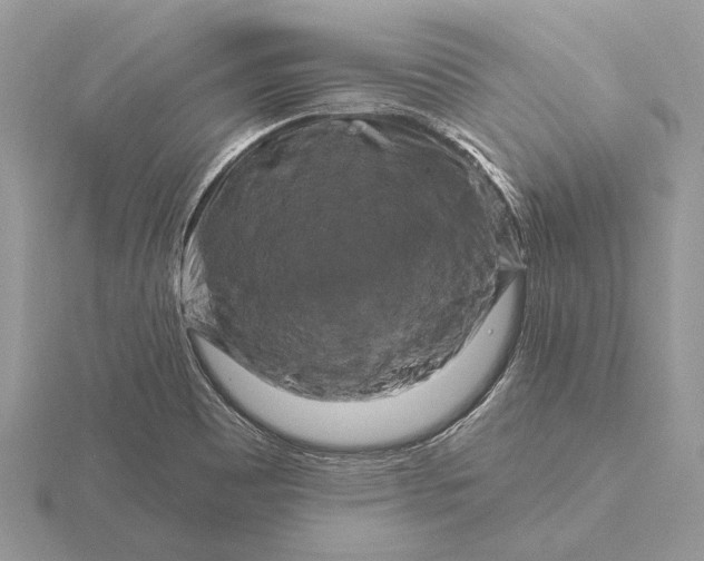 X0000116281465200912141339