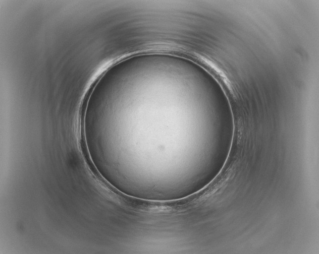 X0000116281467200912141339
