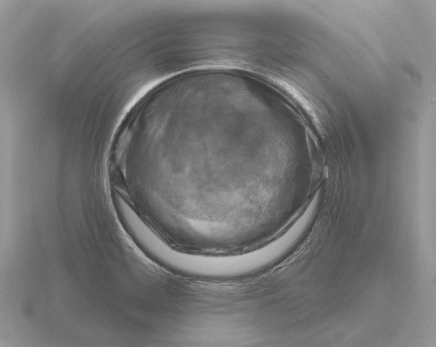 X0000116281468200912141339