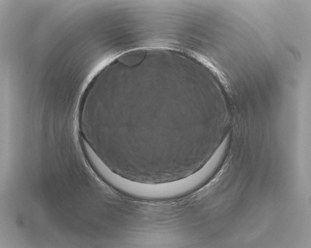 X0000116281469200912141338