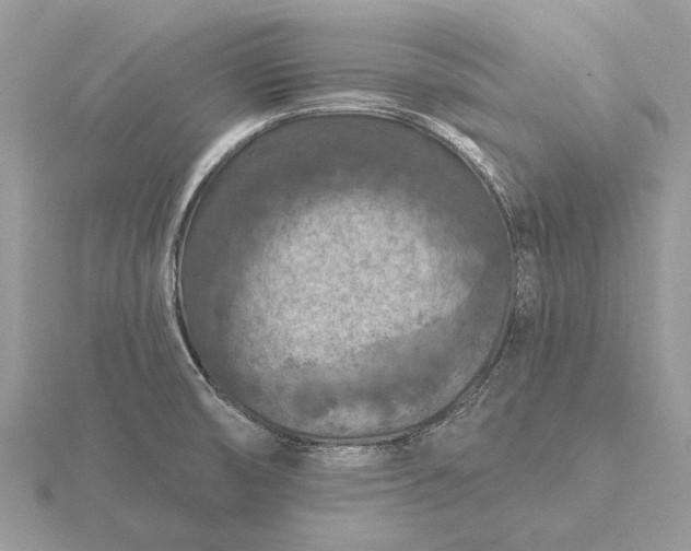 X0000116281474200912141338