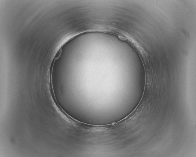 X0000116281479200912141338