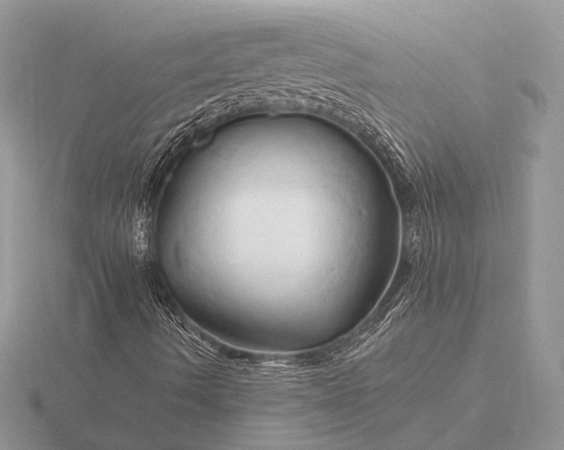 X0000116281490200912141338