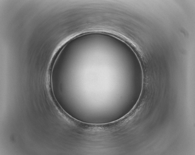 X0000116281517200912141338