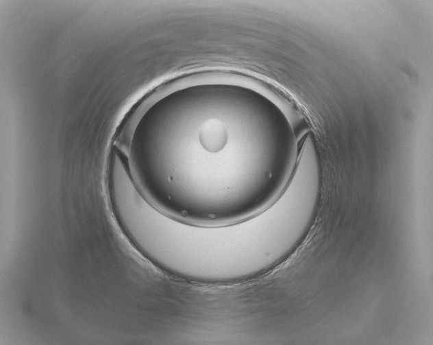 X0000116281518200912141338