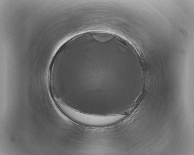 X0000116281519200912141338