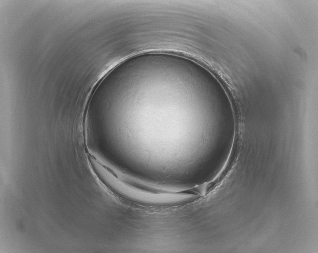 X0000116281521200912141338
